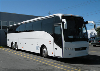 45 Seater Bus